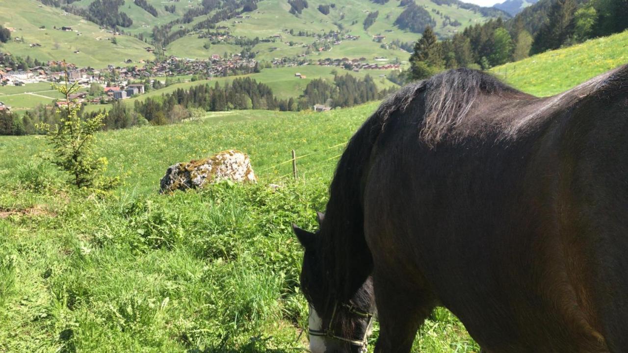 Au Pre Des Chevaux Bed & Breakfast Chateau-d'Oex Luaran gambar