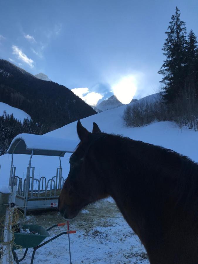 Au Pre Des Chevaux Bed & Breakfast Chateau-d'Oex Luaran gambar