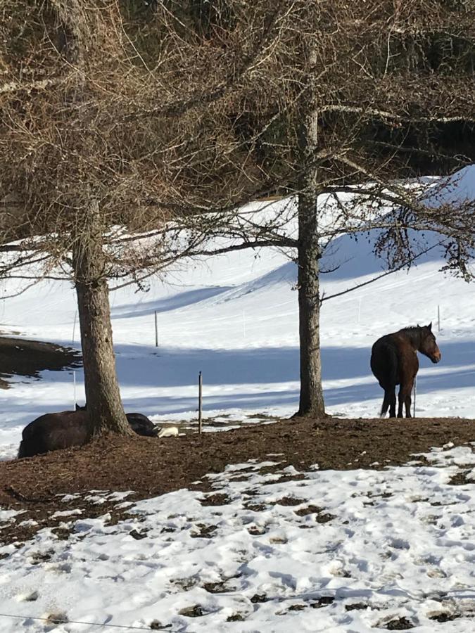 Au Pre Des Chevaux Bed & Breakfast Chateau-d'Oex Luaran gambar