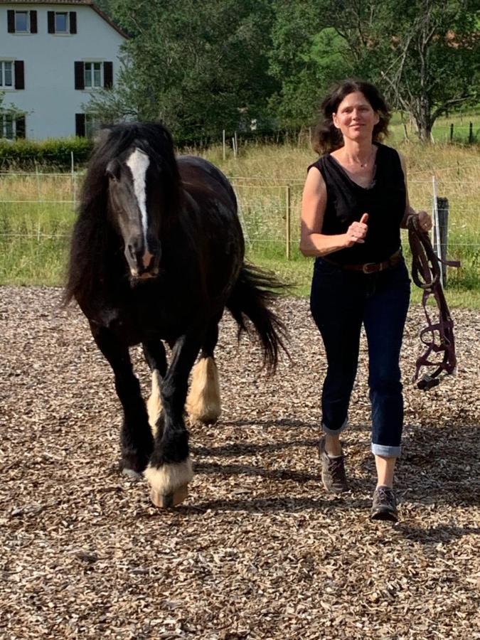 Au Pre Des Chevaux Bed & Breakfast Chateau-d'Oex Luaran gambar