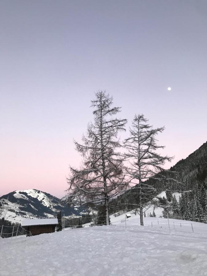 Au Pre Des Chevaux Bed & Breakfast Chateau-d'Oex Luaran gambar