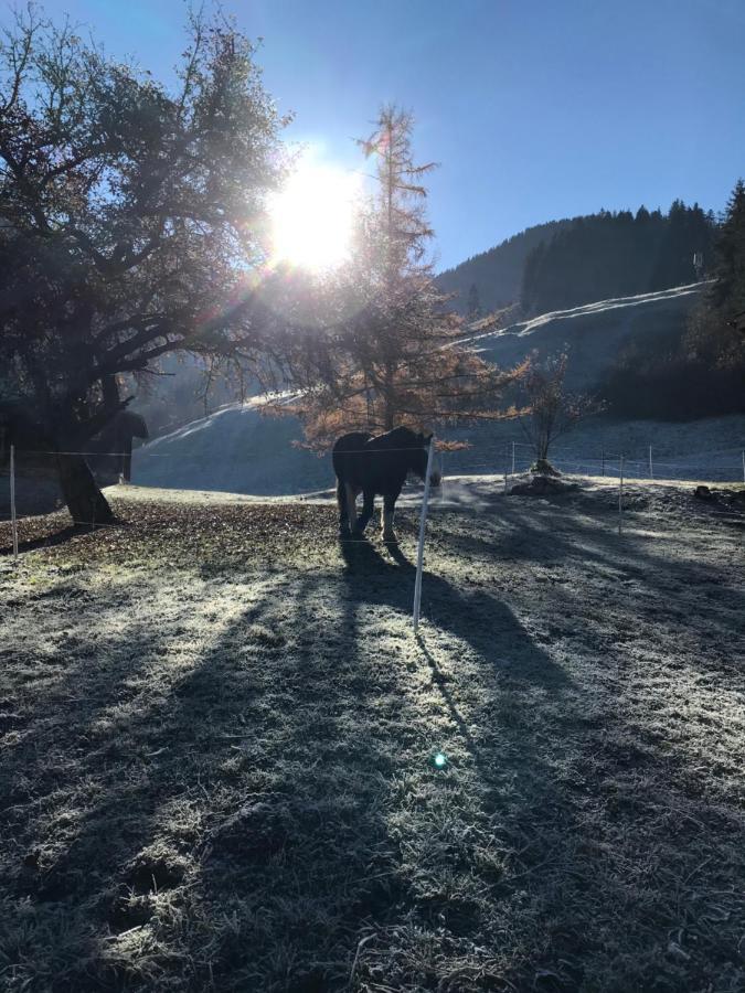 Au Pre Des Chevaux Bed & Breakfast Chateau-d'Oex Luaran gambar