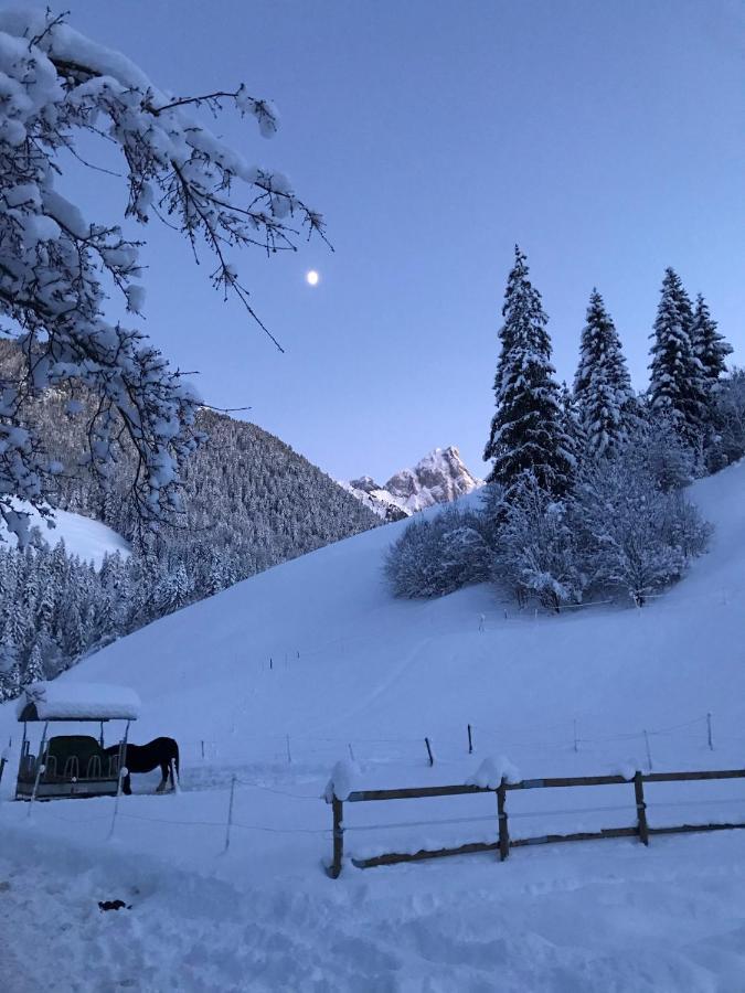 Au Pre Des Chevaux Bed & Breakfast Chateau-d'Oex Luaran gambar