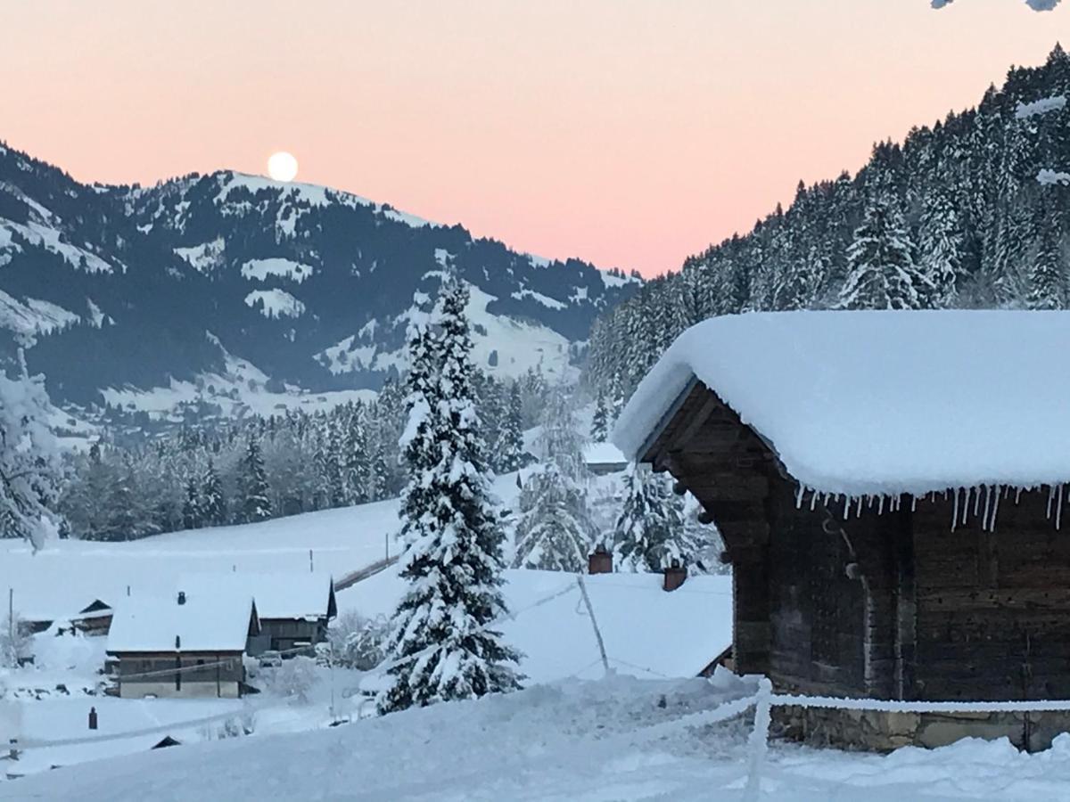 Au Pre Des Chevaux Bed & Breakfast Chateau-d'Oex Luaran gambar