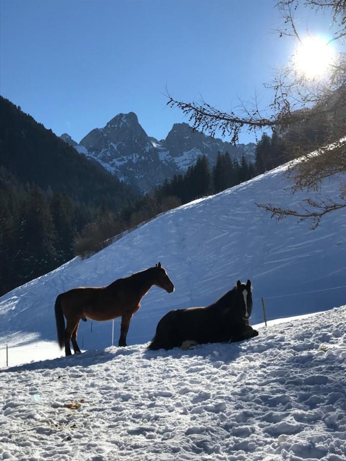 Au Pre Des Chevaux Bed & Breakfast Chateau-d'Oex Luaran gambar