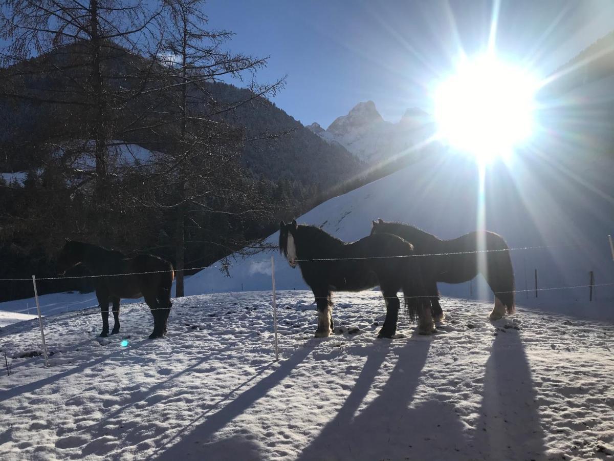Au Pre Des Chevaux Bed & Breakfast Chateau-d'Oex Luaran gambar