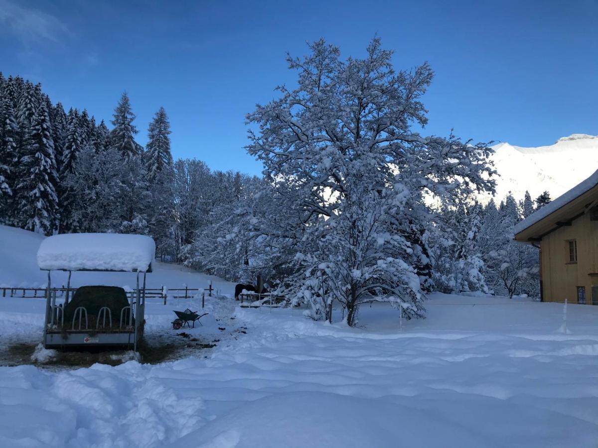Au Pre Des Chevaux Bed & Breakfast Chateau-d'Oex Luaran gambar