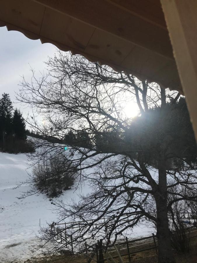 Au Pre Des Chevaux Bed & Breakfast Chateau-d'Oex Luaran gambar