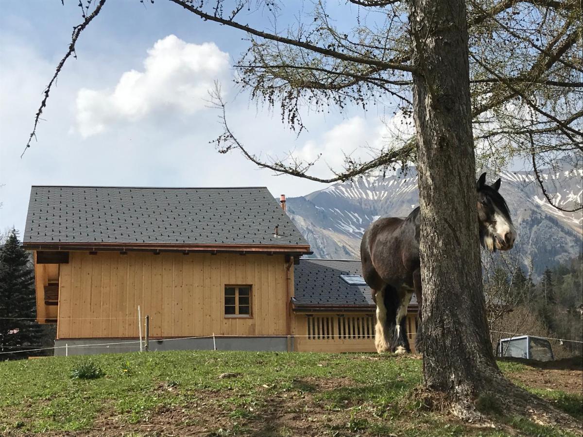 Au Pre Des Chevaux Bed & Breakfast Chateau-d'Oex Luaran gambar