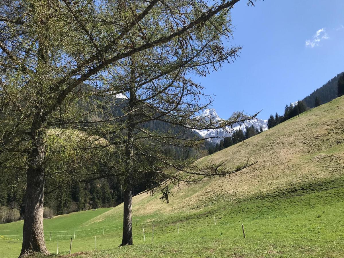 Au Pre Des Chevaux Bed & Breakfast Chateau-d'Oex Luaran gambar