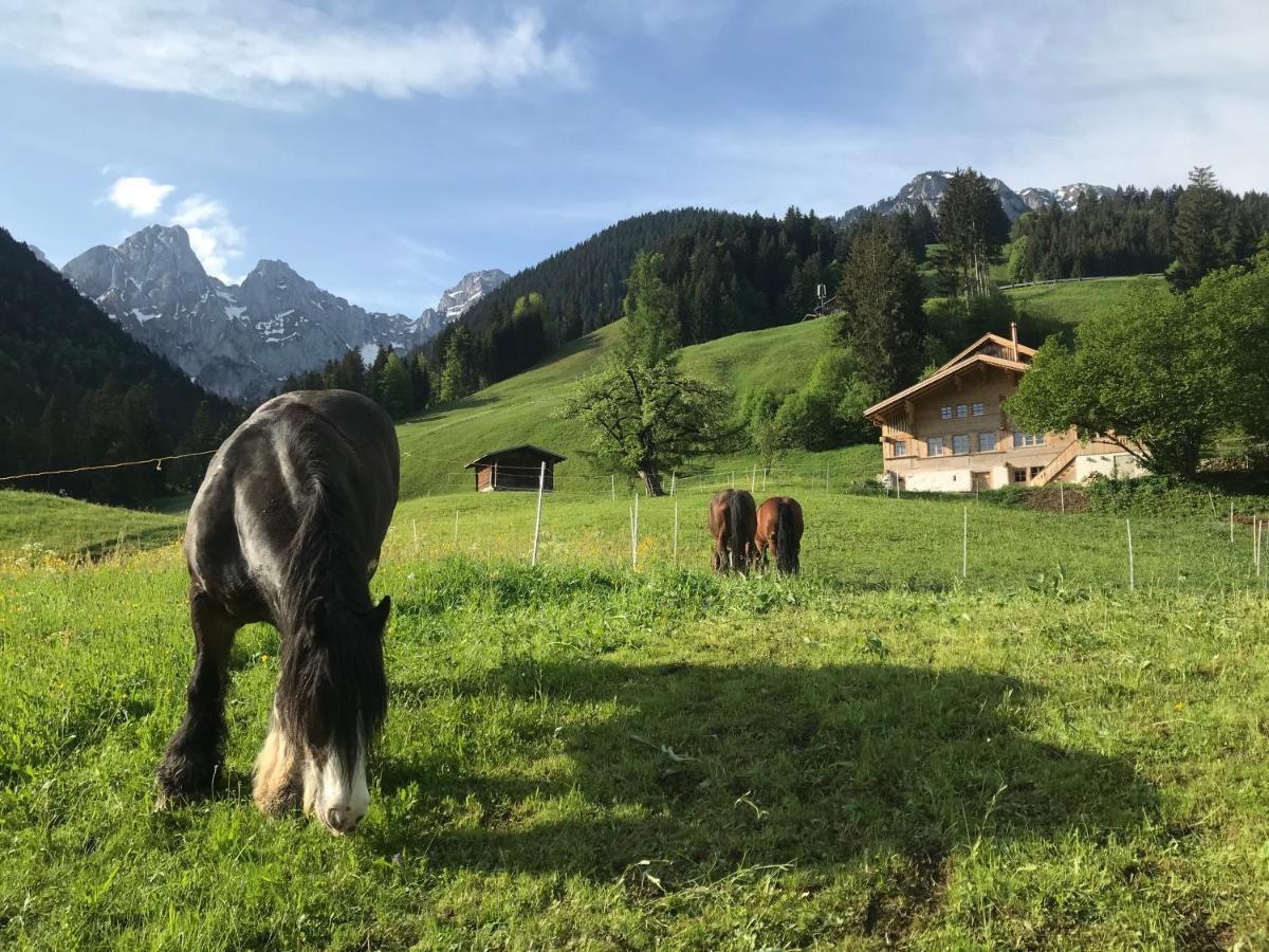 Au Pre Des Chevaux Bed & Breakfast Chateau-d'Oex Luaran gambar